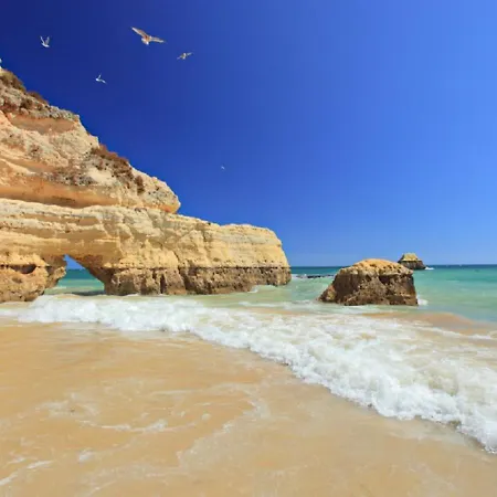 Blue D Sagres